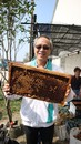 實用特色課程-崙背養蜂產銷班